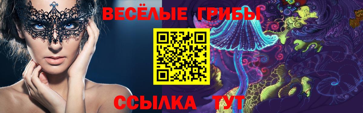 Псилоцибиновые грибы Psilocybe Саратов
