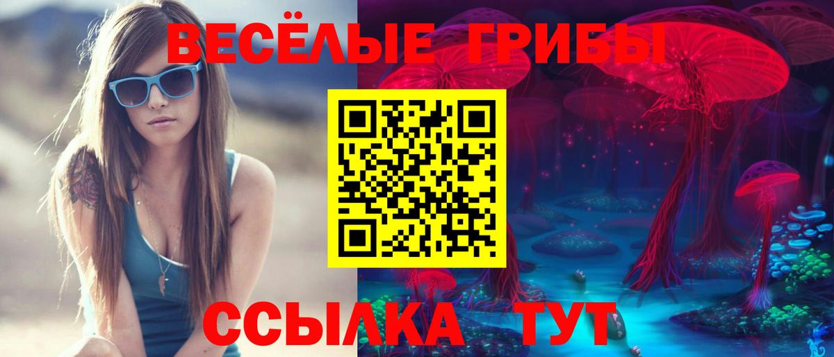 Саратов  Галлюциногенные грибы прущие грибы  Вход с VPN 