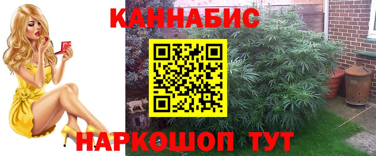 Канабис конопля Саратов